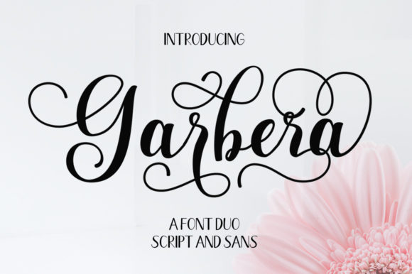 Garbera Duo: A Font for Creative Campaigns