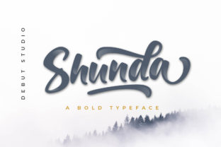 Shunda: A Font That Elevates Your Brand