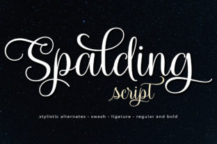 Spalding Font: Elegant Script for Business