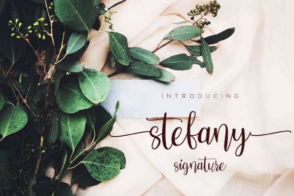 Stefany: A Script Font for Creative Campaigns